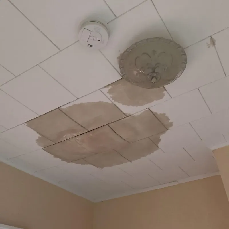 Ceiling Water Damage Repair in Fairfax County, VA
