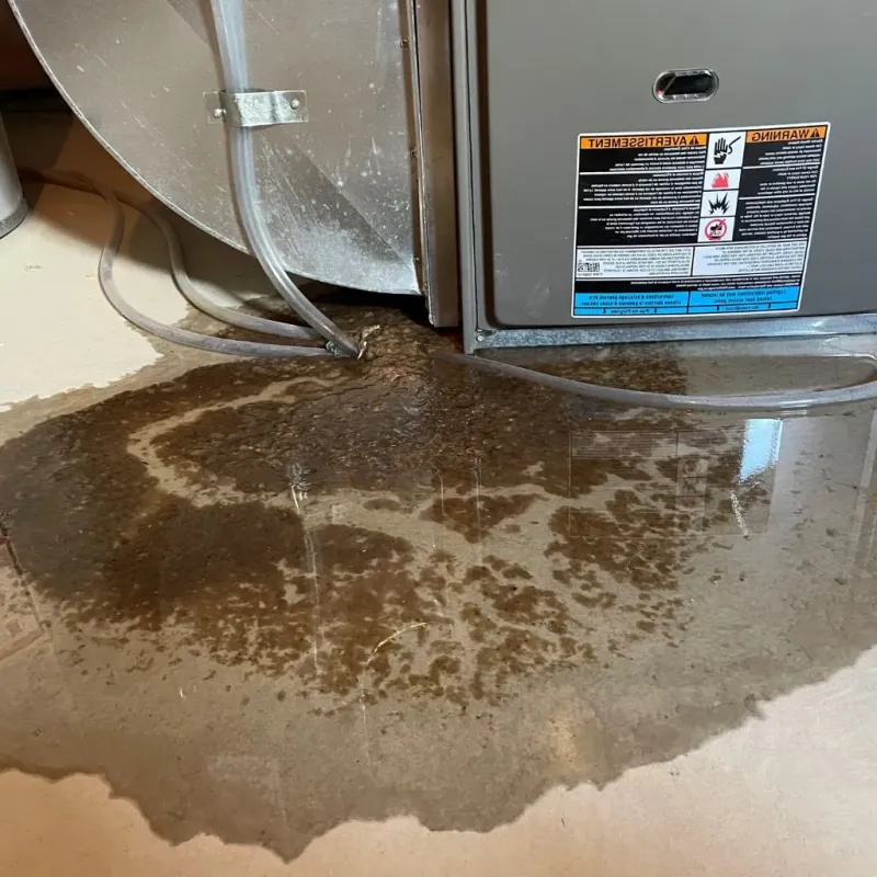Pipe Burst and Leak Restoration in Fairfax County, VA